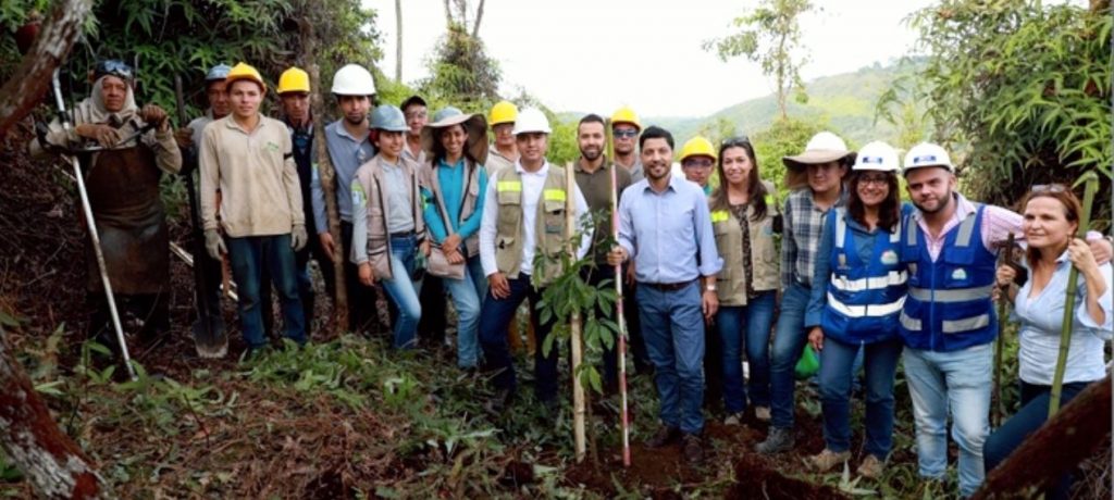 Proyecto de restauración ecológica en Pance sembrará 7.830 árboles en 27 hectáreas