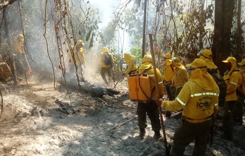 Países firmantes de Pacto de Leticia celebran impulso de acciones para proteger Amazonía