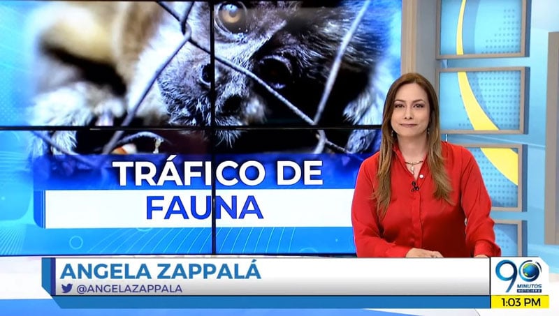 Emisión lunes 12 de agosto de 2019