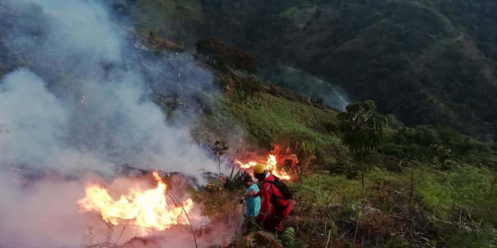 ¿Quién estaría detrás del incendio en Jamundí? Ofrecen recompensa para hallar a los responsables