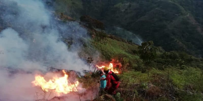 ¿Quién estaría detrás del incendio en Jamundí? Ofrecen recompensa para hallar a los responsables