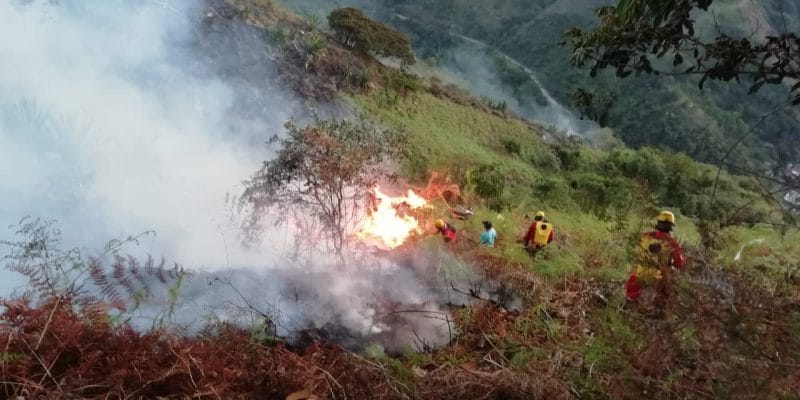 Incendios forestales han arrasado con decenas de hectáreas en el Valle del Cauca