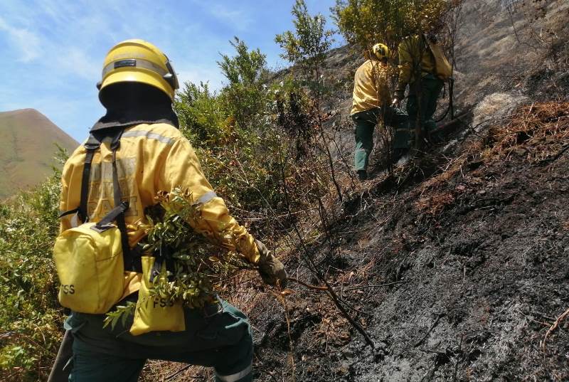 En temporada de sequía, advierten al Valle prevenir incendios forestales