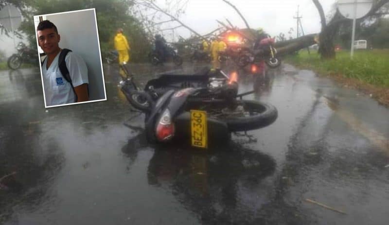 Motociclista perdió la vida tras caerle un árbol encima en la doble calzada Tuluá-Buga