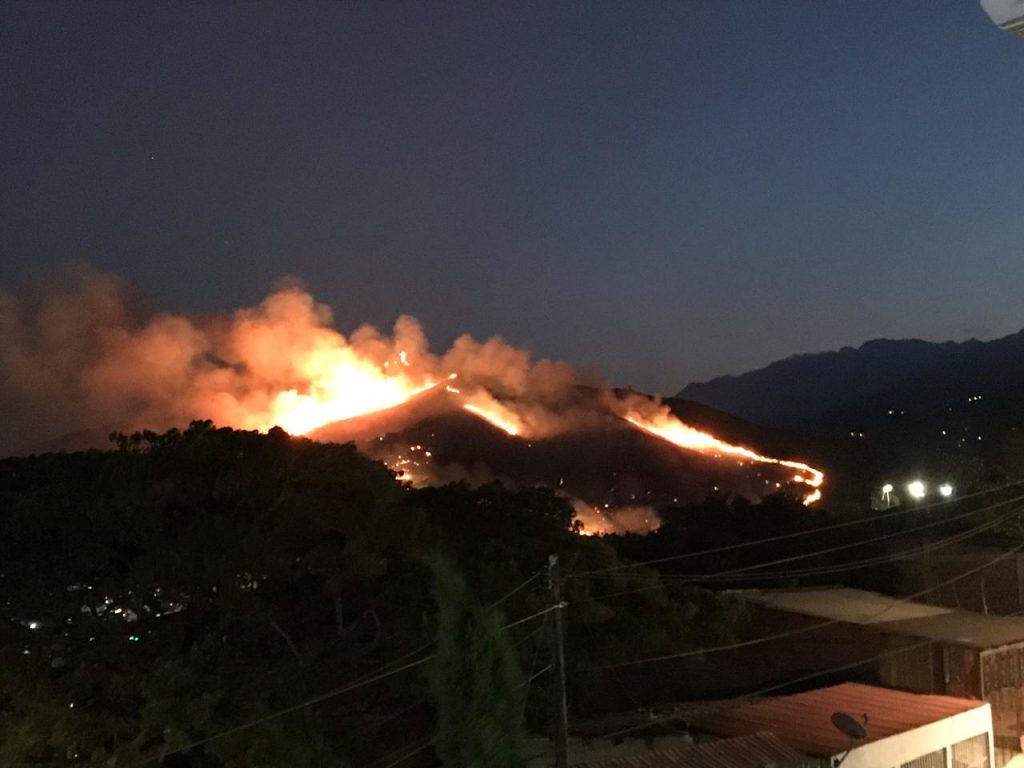 Destrucción y desconcierto: balance que dejaron los incendios forestales del martes en Cali
