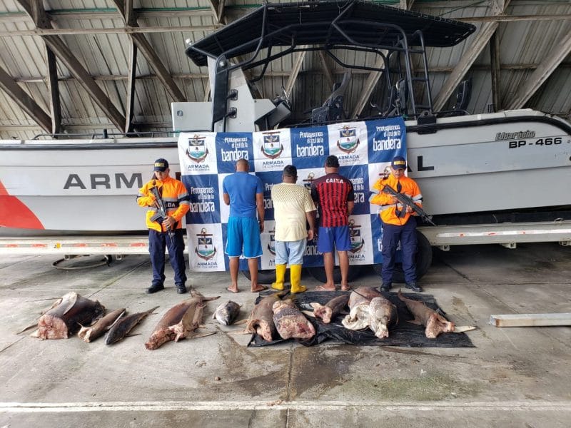 Incautan embarcación ecuatoriana con 270 kilos de pesca ilegal en santuario de flora y fauna de Malpelo
