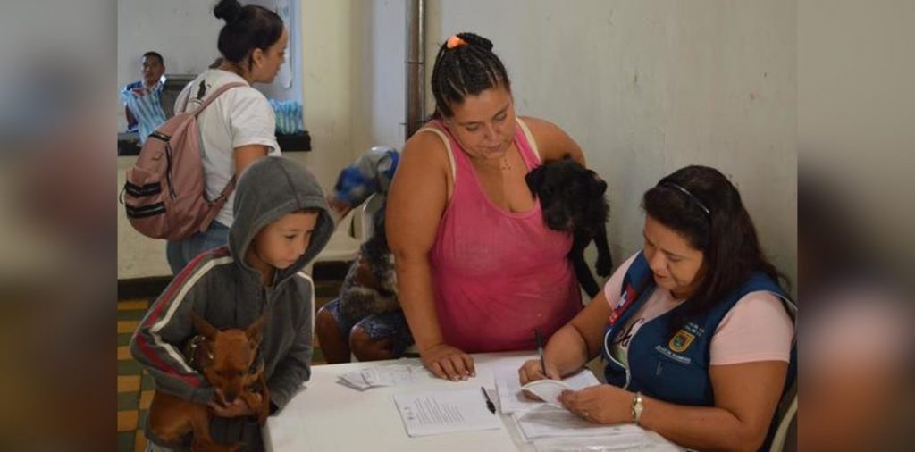 ¿En busca de un peludito?: nueva jornada de adopción en el Parque del Perro