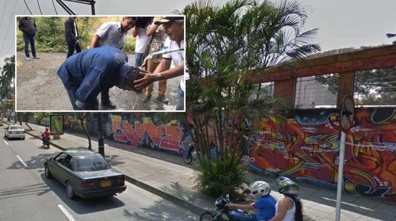 Alcalde terminó "bañado" tras ataque de abejas en lote del antiguo Club San Fernando
