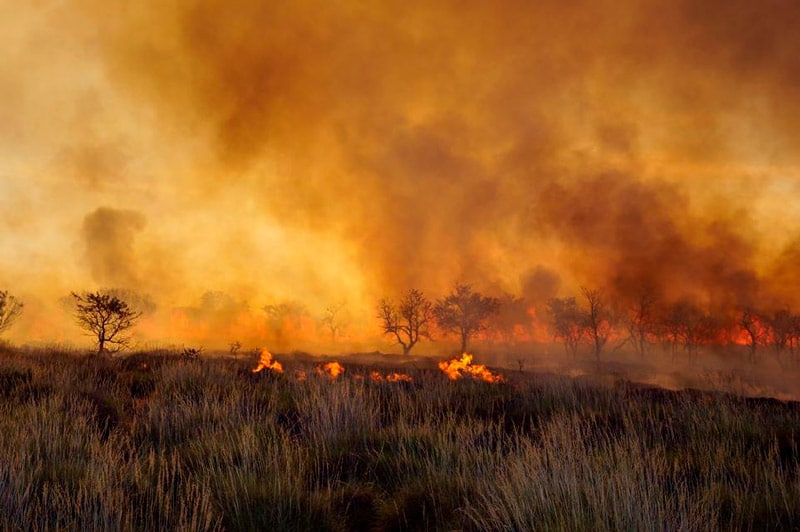 Humo de incendios de Australia llegó hasta varios países de América del Sur