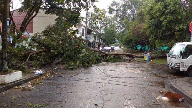 Vientos huracanados: el balance del fuerte aguacero que azotó a Cali