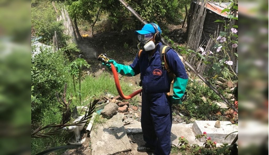 Tras aumento de casos de dengue, se han fumigado 80 mil viviendas en el Valle