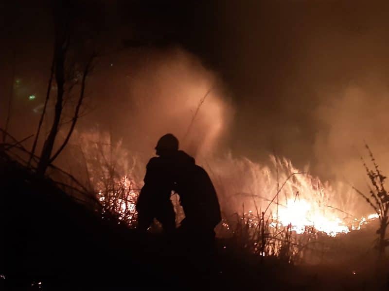 Cerros de Terrón ardieron más de 5 horas, hay 9 hectáreas afectadas y un animal herido