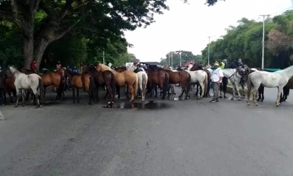 Con los caballos afuera, Pesebreras solicitan a la Alcaldía autorización para reactivar este sector