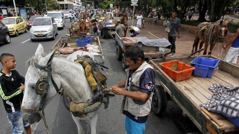 Carretilleros y Alcaldía de Cali debatieron alternativas para trabajar sin tracción animal