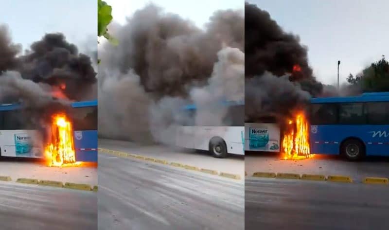 En video: investigan las causas de incendio que afectó un bus articulado del Mío en El Pondaje