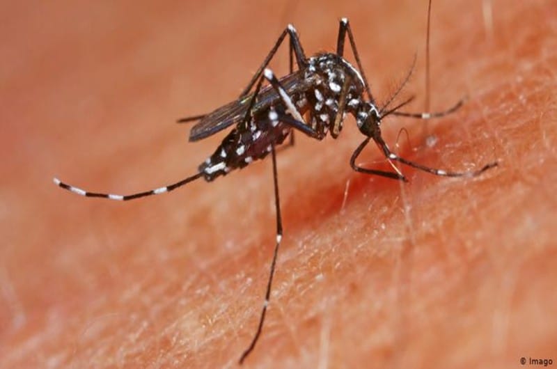 Más de 2.000 casos de dengue se han presentado en Cali en los primeros meses del año
