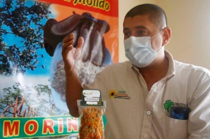 Un colombiano promueve el uso ancestral de la algarroba y las plantas medicinales