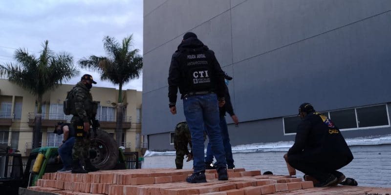 Capturan a hombre por transportar 300kg de cocaína camuflada en bloques de ladrillo