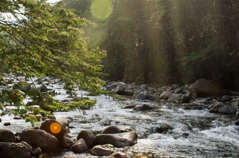 estrategia-para-la-conservacion-de-la-cuenca-del-rio-jamundi-y-la-subcuenca-del-rio-pance-16-10-2020