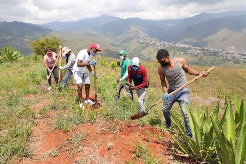 Jóvenes participan en jornada de siembra de árboles en Cristo Rey
