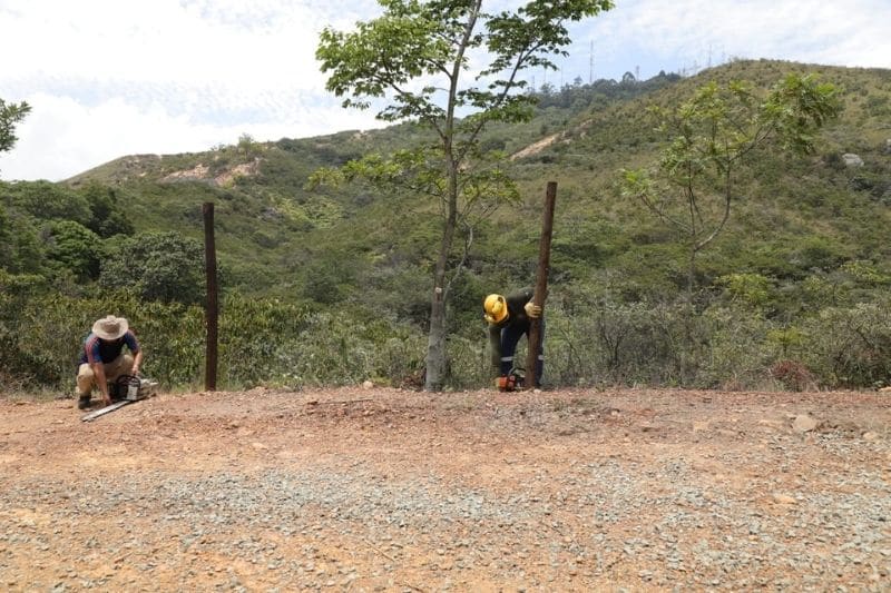 Recuperan predio en el cerro de Las Tres Cruces