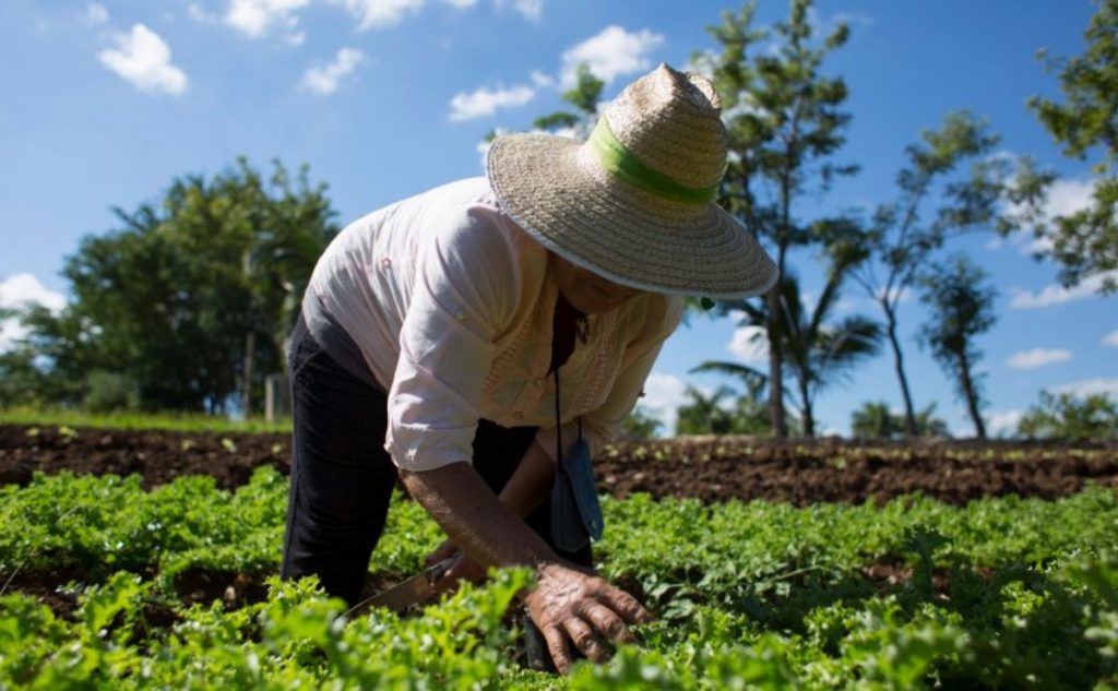 ¡Agéndese! Llega una nueva oportunidad para los campesinos vallecaucanos