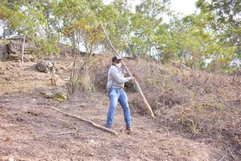 Alcaldía de Cali en la visita a Bellavista encontró graves daños ambientales