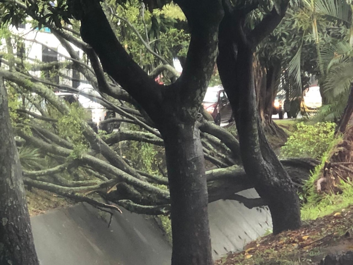 La fuerte tormenta que desveló a Cali dejó graves afectaciones