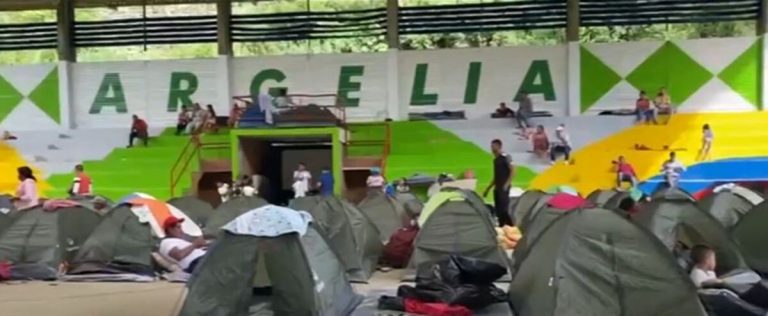 2.862 personas desplazadas por violencia en municipios del Cauca