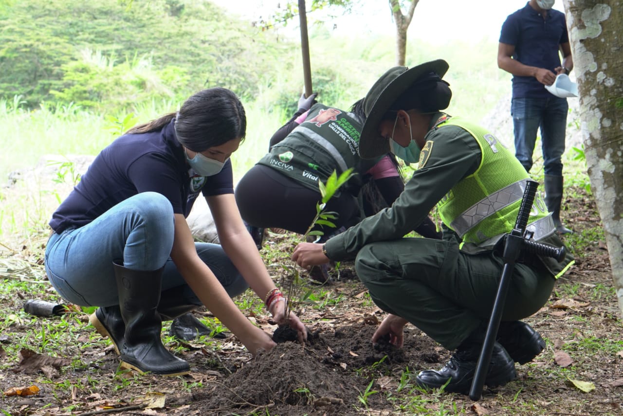 Siembran 500 árboles nativos en el Ecoparque del Río Pance