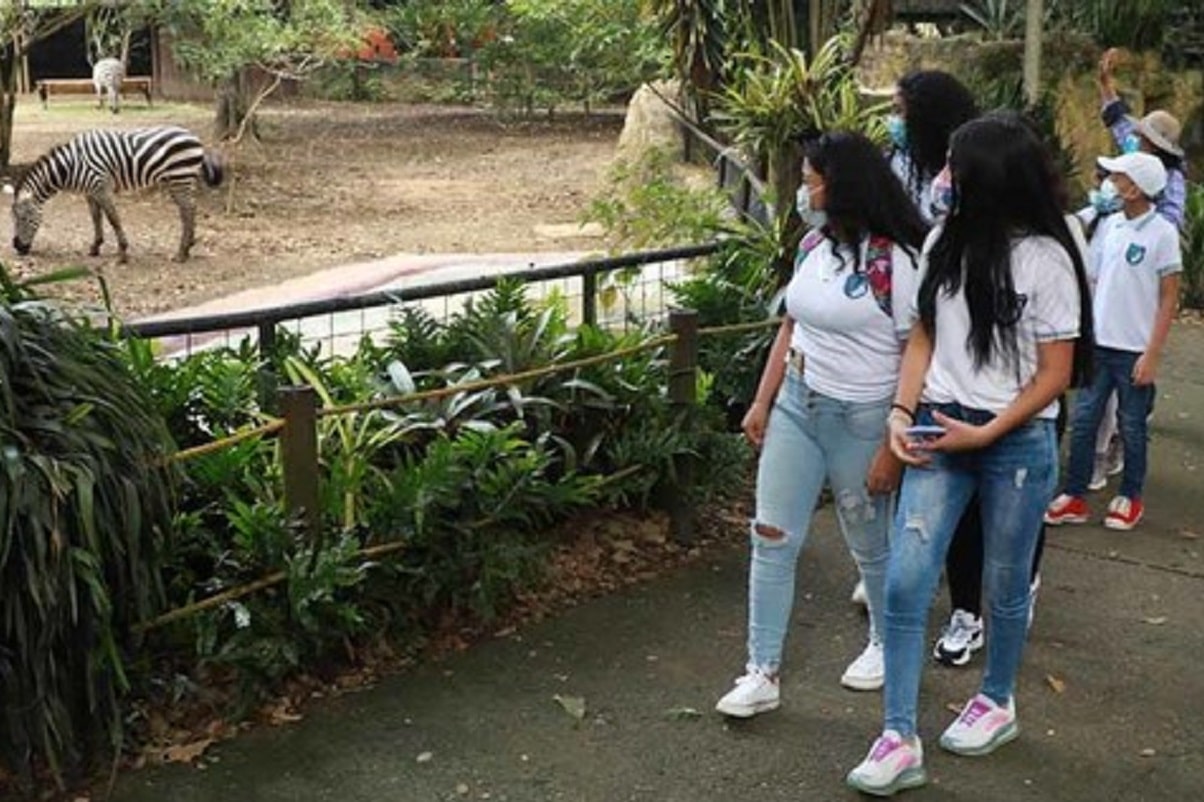 Zoológico de Cali ha recibido la visita de 10 mil estudiantes gratuitamente