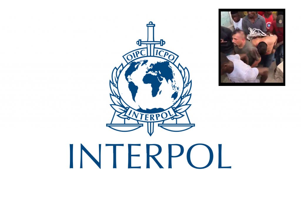 Interpol solicita información de 17 mercenarios colombianos que asesinaron a Moïse
