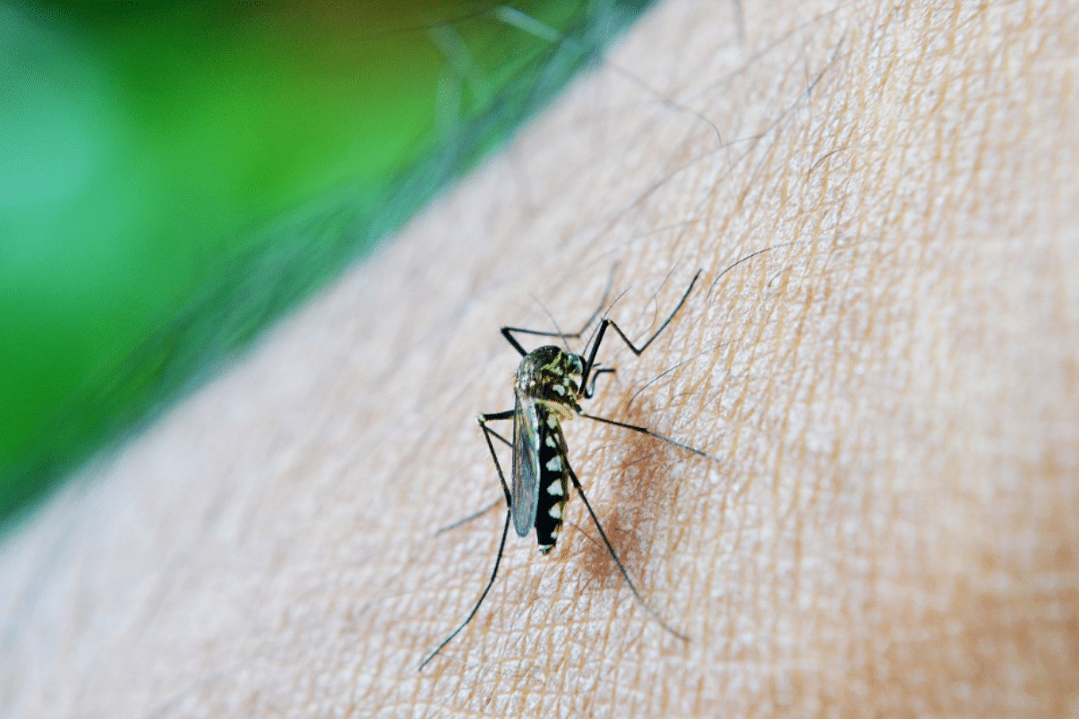 Alcaldía presenta estrategia para control del dengue apoyada en las TICS