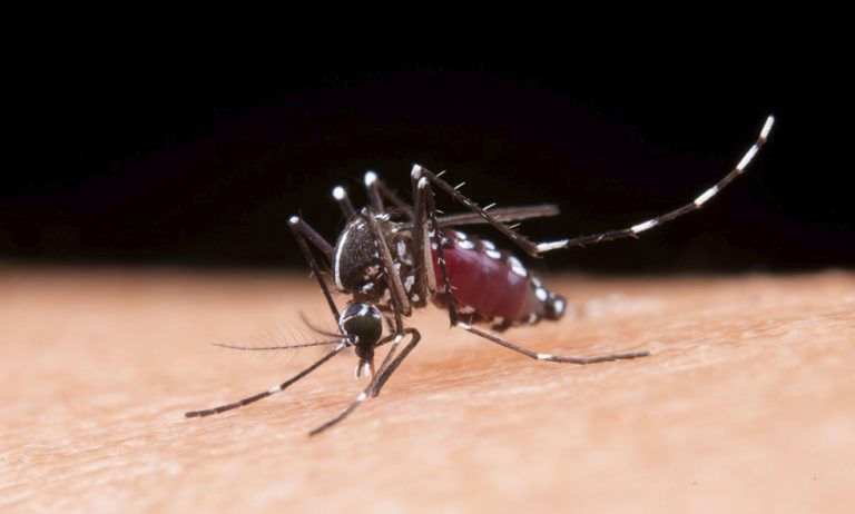 autoridades-invitan-no-bajar-guardia-ante-dengue-en-valle-06-09-2021