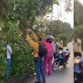 Árbol de billetes captó la atención de transeúntes en el sur de Cali