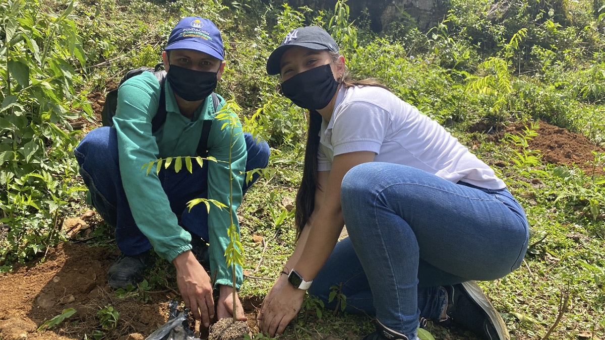 Día del Árbol:  En Cali se sembraron más de 3.500 ejemplares en la cuenca del río Cauca