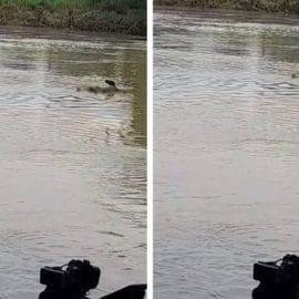 Pobladores de Navarro aseguran haber visto un cuerpo en el río Cauca