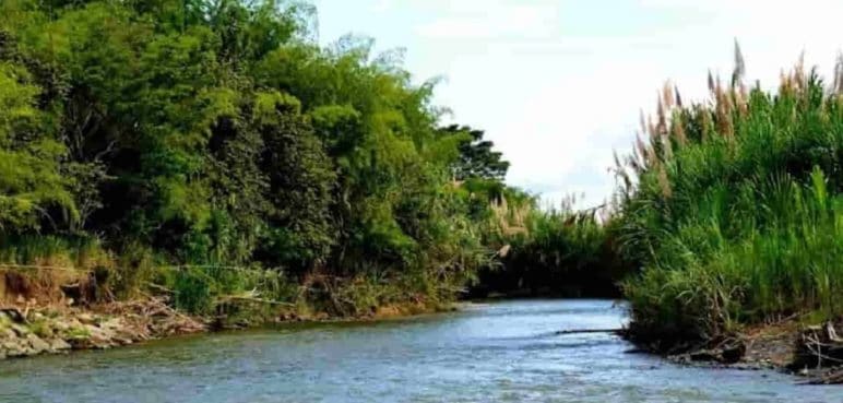 Menor de cinco años muere ahogado en rio de Riofrío