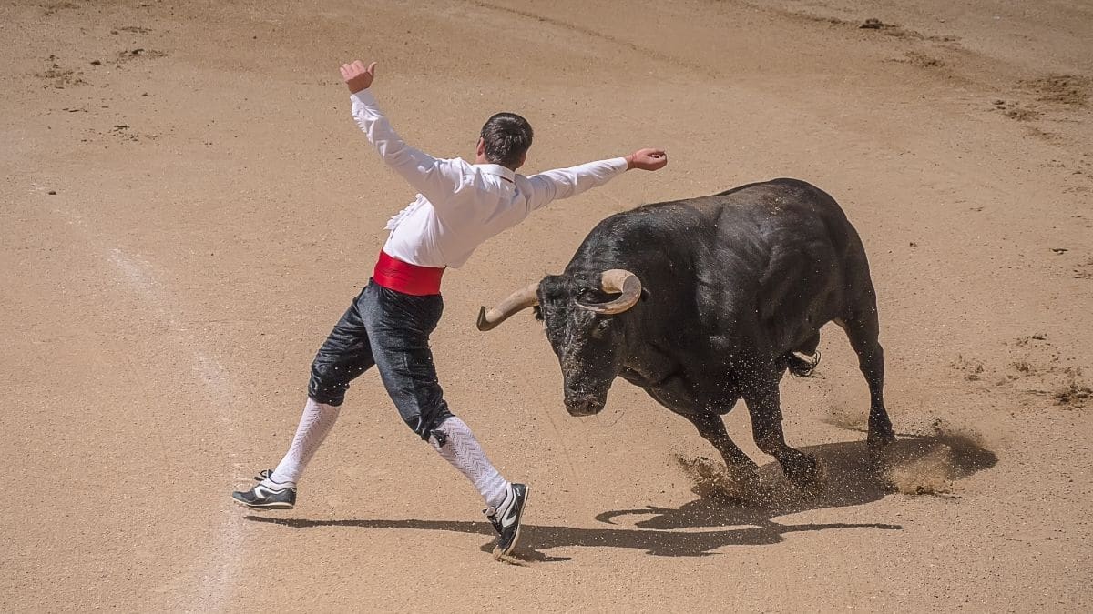 No habrá temporada taurina en Bogotá para este 2022