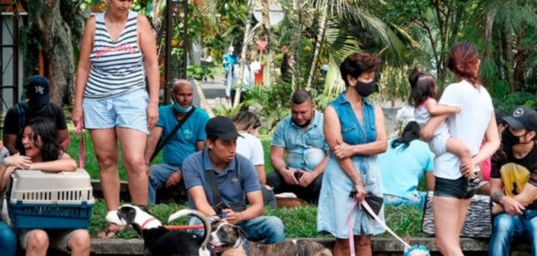En Colombia más de la mitad de familias tienen mascotas