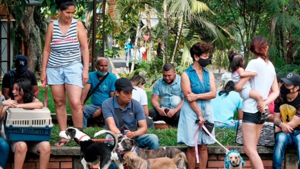 En Colombia más de la mitad de familias tienen mascotas