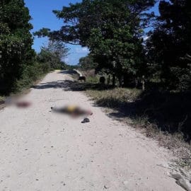 Masacre en Arauca: más de 20 personas muertas en 4 municipios