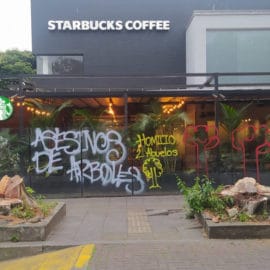 Pintan grafitis en reconocido local inmerso en polémica por tala de árboles