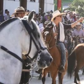 Alcaldía de Palmira prohíbe cabalgatas en zona urbana