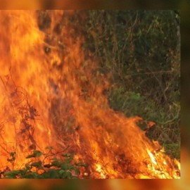 Colombia se encuentra en alerta naranja por los altos índices de incendios forestales