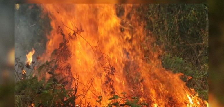 Colombia se encuentra en alerta naranja por los altos índices de incendios forestales