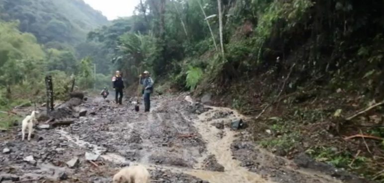 Reportan afectación de vías en el Valle por temporada de lluvias