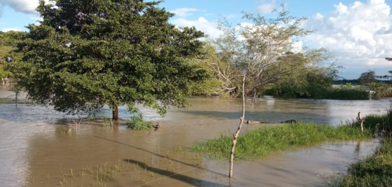 Millonarias pérdidas en sector agropecuario del Valle por fuertes lluvias