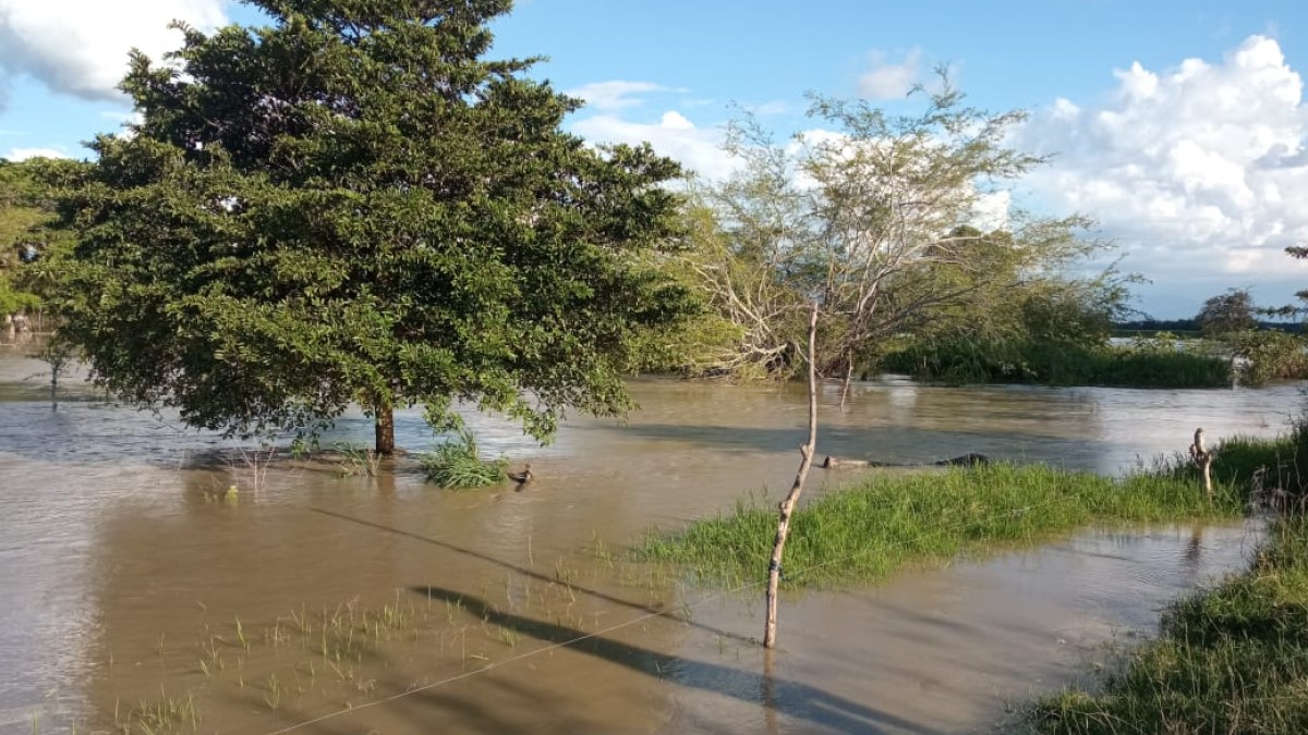 Grupos operativos del DAGMA siguen atendiendo las emergencias por lluvias
