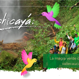 ANCHICAYÁ: La magia verde del pacífico vallecaucano
